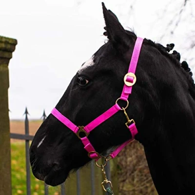 Afbeelding van Halster voor paard, warmbloed, volbloed, koudbloed, stalhalster, wilgenhalster, 2 voudig verstelbaar aan kinriem en kopstuk, veilig scheurvast (roze, warmbloed (vol)