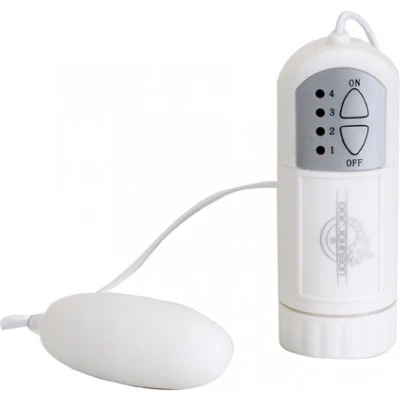 Afbeelding van Bullet and Controller