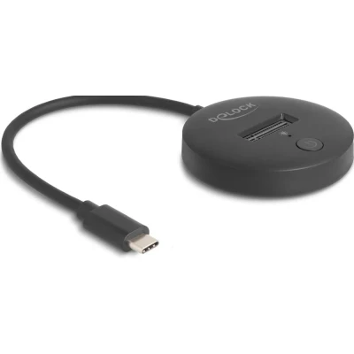 Afbeelding van Delock M.2 docking station voor NVMe / SATA SSD met USB 10, Accessoires harde schijven