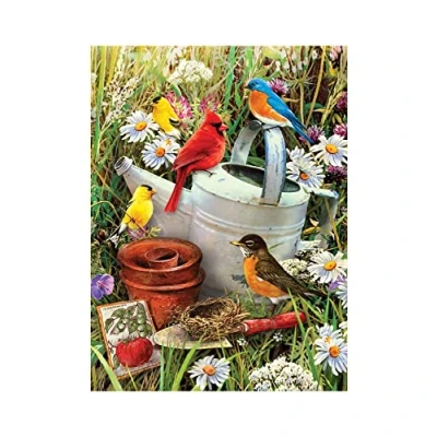 Afbeelding van Pracht Creatives Hobby Royal &amp; Langnickel Painting by Numbers Junior &quot;Birds&quot;, incl. kleuren en penselen, voor volwassenen kinderen vanaf 8 jaar