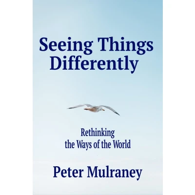 Afbeelding van Seeing Things Differently: Rethinking the Ways of World