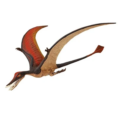Afbeelding van Toob Rhamphorhynchus