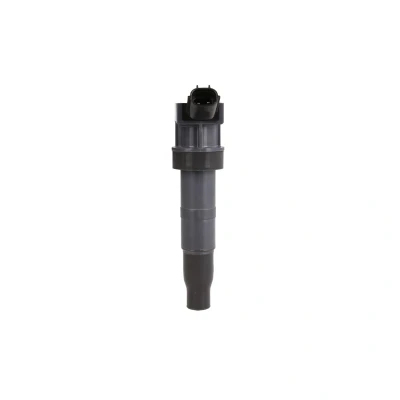 Afbeelding van Delphi Diesel Bobine GN10568 12B1