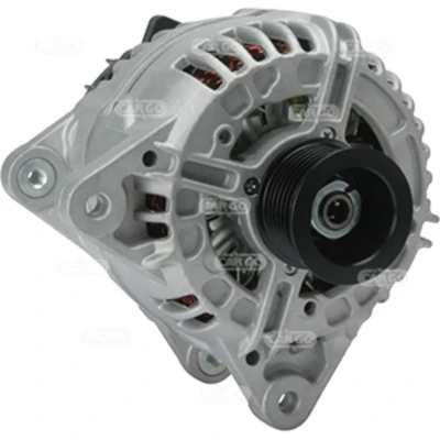 Afbeelding van Dynamo / Alternator HC CARGO 113837