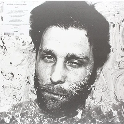 Afbeelding van Wildbirds &amp; Peacedrums Iris (12&quot; Vinyl Single)