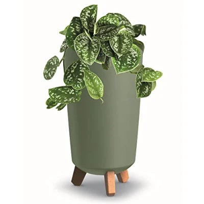 Afbeelding van botle Bloempot met poten HOH Tube plantenbak D 24 cm van kunststof mat groene potten geldboom cactussen rubberboom geluksveer