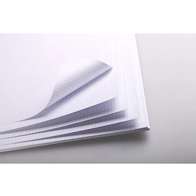 Afbeelding van Clairefontaine 975187C 1 zakje Bristol geruit wit 20 vellen 29,7 x 42 cm 320 g