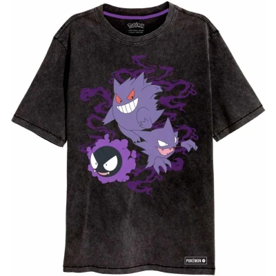 Afbeelding van Henry Tiger POKÉMON Ghosts Tshirt print, Heren, Maat: Small, Acid washed black