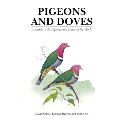 Afbeelding van Pigeons and Doves: A Guide to the Doves of World