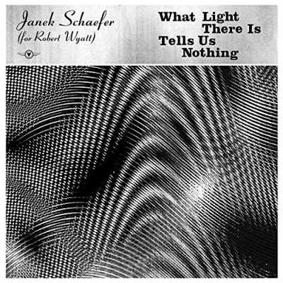 Afbeelding van Janek Schaefer What Light..