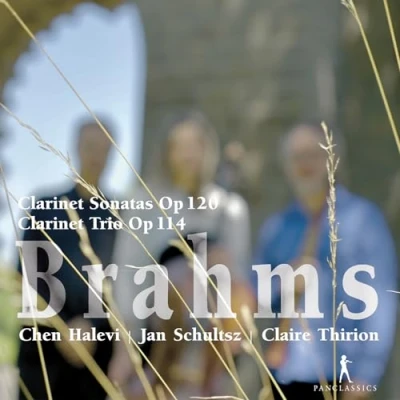 Afbeelding van Chen Halevi, Claire Thirion, Jan Schultsz Brahms: Clarinet Sonatas Op. 120/Clarinet Trio 114 (CD)