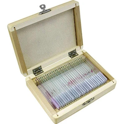 Afbeelding van Bresser Microscoop preparaten 30 stuks Dieren