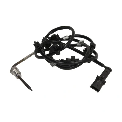 Afbeelding van Delphi Diesel Sensor uitlaatgastemperatuur TS30244