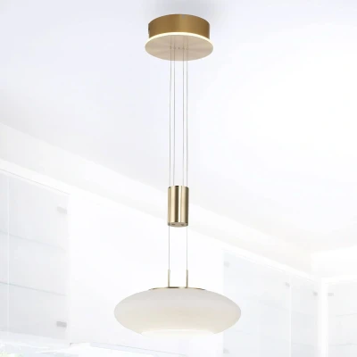 Afbeelding van Paul Neuhaus Design hanglamp Q Etienne messing 2075 60