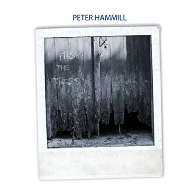Afbeelding van Peter Hammill From the Trees (LP)