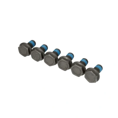 Afbeelding van Schroevenset, vliegwiel SACHS 3096 005 000