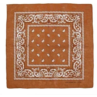 Afbeelding van Zac&#039;s Alter Ego Tan Paisley print Bandana Bruin