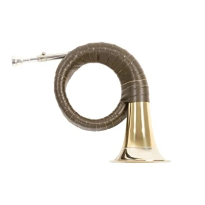 Afbeelding van Roy Benson Prince Pless Hoorn HH 101 (Premium messing beker, 120mm bekerontwerp, nikkelzilveren krans, exclusieve stemschuif, elegante groene kunstlederen omslag, inclusief nylon tas)