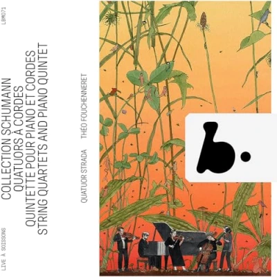 Afbeelding van Théo Fouchenneret, Quatuor Strada Schumann Collection String Quartets And Piano Quintet (2 CD)