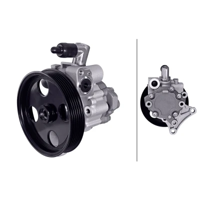 Afbeelding van Servo pomp HELLA 8TL 359 003 431