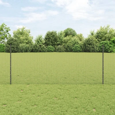 Afbeelding van vidaXL Gelaste Draadhek Set van 2 Grijs Staal 25 x 1 m Robuust