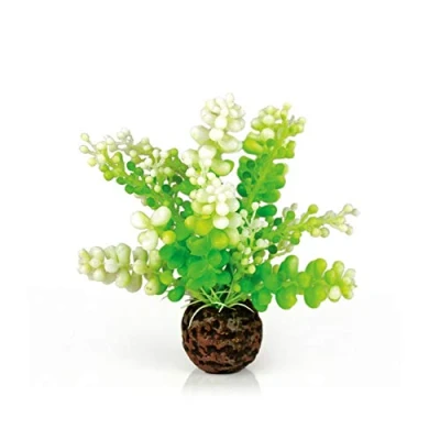 Afbeelding van biOrb Caulerpa, Groen
