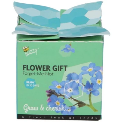 Afbeelding van Flower Gift Vergeet me niet