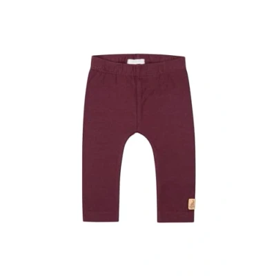 Afbeelding van Legging Foz Eggplant 50