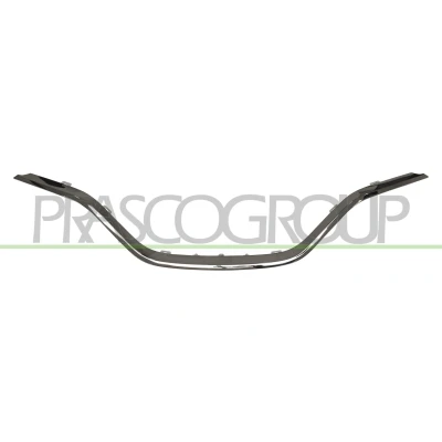Afbeelding van Sier / Beschermingspaneel, radiateurgrille PRASCO RN7022315