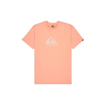 Afbeelding van Quiksilver COMP LOGO Tshirt print, Heren, Maat: XS, Coral