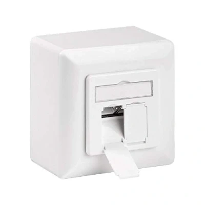 Afbeelding van RJ45 wandcontactdoos FTP (2 x RJ45, Cat6a, Horizontaal, Inbouw/Opbouw)
