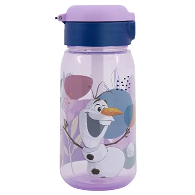 Afbeelding van Stor 510 ML ACTIEVE HERBRUIKBARE FLES FROZEN TRUST THE JOURNEY