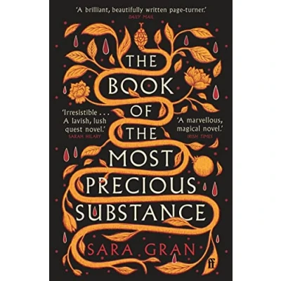 Afbeelding van the Book of most Precious Substance: Discover this year’s spellbinding quest novel