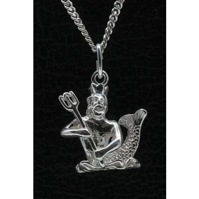 Afbeelding van Zilveren Sterrenbeeld Waterman ketting hanger groot
