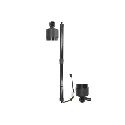 Afbeelding van gasveer, koffervloer MAGNUM TECHNOLOGY MGS5072MT