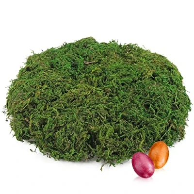 Afbeelding van COM FOUR® 200g groen doe het zelf knutselmos voor paasmanden echt decoratief mos knutselen en decoreren van (Set2 200g)