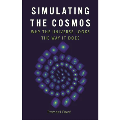 Afbeelding van Simulating the Cosmos: Why Universe Looks Way It Does