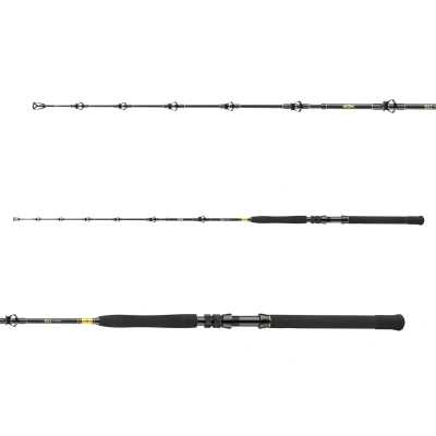 Afbeelding van Daiwa BG Big Game Zeevis Boothengel 1.68m 20 30lb (3 Delig) hengel