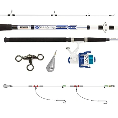 Afbeelding van Mitchell 1555899 Neuron Dorade Hengel en wielenset met visgerei voor het basisvissen op dorade, brasem, zeebrasem, goudbrasem, drukvis, zeebaars, bot wijting