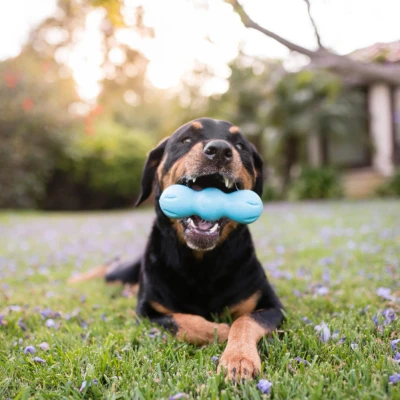 Afbeelding van West Paw Design Hondenspeelgoed Zogoflex Rumpus Aqua