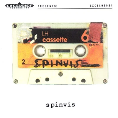Afbeelding van Spinvis