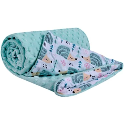 Afbeelding van Medi Partners Babydeken, 100% katoen, 75 x 100 cm, dubbelzijdig multifunctionele Minky knuffeldeken voor kinderwagen, zacht pluizig (munt egel met munt minky)