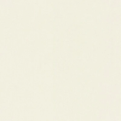 Afbeelding van Rasch behang vliesbehang (universeel) crème wit 10,05 m x 0,53 Poetry 424010
