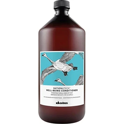 Afbeelding van Davines Naturaltech Well Being Conditioner 1000 ml