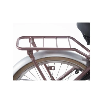 Afbeelding van Alpina Achterdrager 20 Cargo wood rose matt