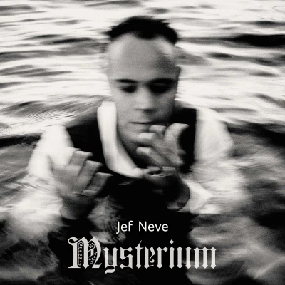 Afbeelding van Jef Neve Mysterium