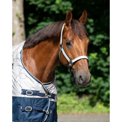 Afbeelding van QHP SS&#039;23 Halsterset Turnout Collection