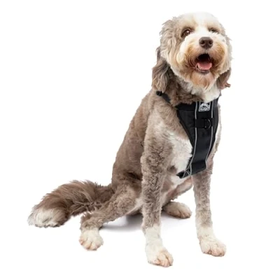 Afbeelding van Kurgo Tru Fit Smart Dog Walking harnas, Quick Release gespen, No Pull Training Clip, Inclusief veiligheidsgordelketting, grootzwart