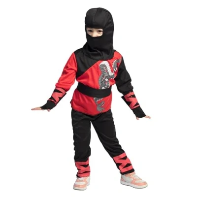 Afbeelding van Boland Kostuum Ninja warrior (3 4 jr) Kinderen Ninja&#039;s