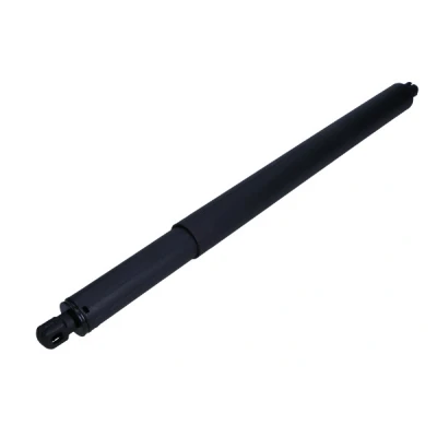 Afbeelding van Gasveer, kofferruimte MAXGEAR 12 2396